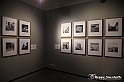 VBS_1621 - Mostra Vivian Maier - Inedita